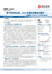 2020年半年报点评:景气度持续走高,20Q2业绩实现爆发式增长
