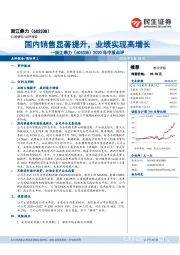 2020年中报点评：国内销售显著提升，业绩实现高增长