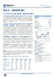 上半年受行业不景气拖累，Q3将重回增长