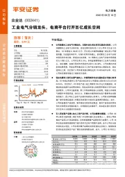 工业电气分销龙头，电商平台打开百亿成长空间