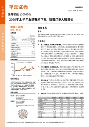 2020年上半年业绩有所下滑，新增订单大幅增长