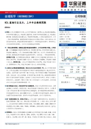 ICL蓝海行业龙头,上半年业绩超预期