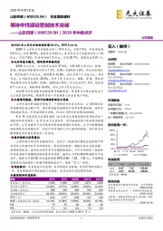 2020年中报点评：等待中性硼硅管制技术突破