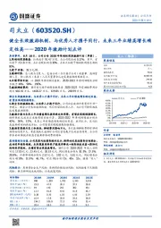 2020年激励计划点评：健全长效激励机制，与优秀人才携手同行，未来三年业绩高增长确定性高