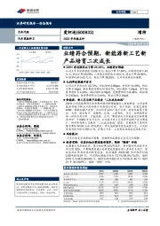 2020半年报点评:业绩符合预期,新能源新工艺新产品培育二次成长
