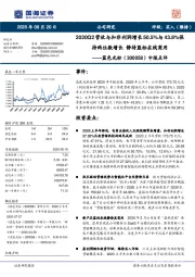 中报点评:2020Q2营收与扣非利润增长50.5%与43.8%保持两位数增长 静待蓝标在线商用