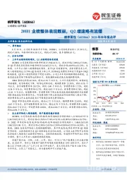 2020年半年报点评：20H1业绩整体表现靓丽，Q2增速略有放缓