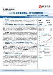 2020年半年报点评:2020H1业绩表现靓丽,景气度维持高位