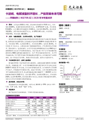 2020年半年报点评：卡波姆、电解液盈利齐增长，产能爬坡未来可期