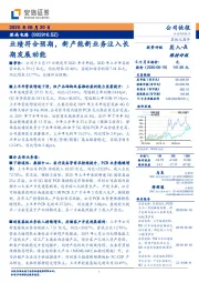 业绩符合预期,新产能新业务注入长期发展动能