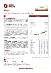 2Q20单季毛利率创新高，全年业绩弹性可观