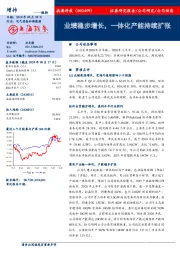 业绩稳步增长,一体化产能持续扩张