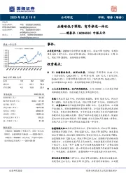 中报点评：业绩略低于预期，有序推进一体化