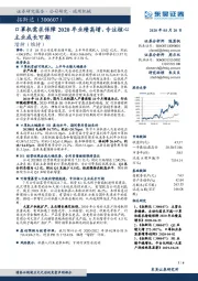 口罩机需求保障2020年业绩高增,专注核心主业成长可期