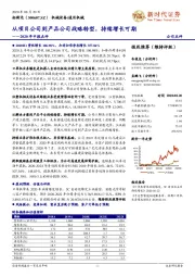 2020年中报点评：从项目公司到产品公司战略转型，持续增长可期