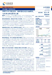 2020年半年报点评：特种集成业务大幅增长，毛利率及研发费用大增