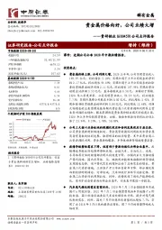 公司点评报告：贵金属价格向好，公司业绩大增