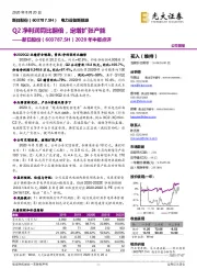 2020年中报点评:Q2净利润同比翻倍,定增扩张产能