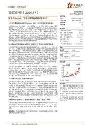 脱敏龙头企业,下半年有望恢复快速增长