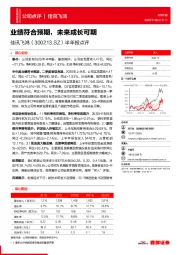 半年报点评:业绩符合预期,未来成长可期