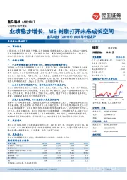 2020年中报点评：业绩稳步增长，MS树脂打开未来成长空间