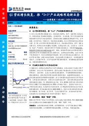 2020半年报点评:Q2营收增长恢复,推“2+3”产业战略布局新业务