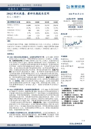 20Q2环比改善，看好长期成长空间