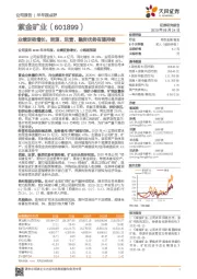 业绩逆势增长,资源、运营、融资优势有望持续