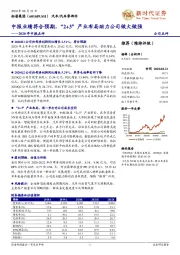 2020年中报点评：中报业绩符合预期，“2+3”产业布局助力公司做大做强