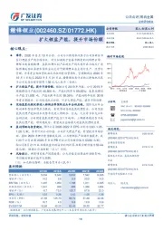 扩大锂盐产能，提升市场份额