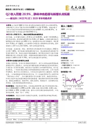 2020年半年报点评：Q2收入同增20.9%，静待冲击趋弱与新增长点拓展