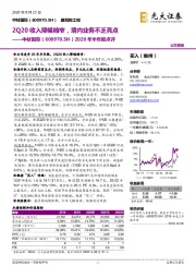 2020年半年报点评：2Q20收入降幅缩窄，境内业务不乏亮点