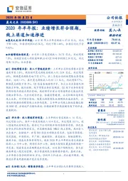 2020年半年报：业绩增长符合预期，线上渠道加速推进