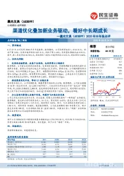 2020年半年报点评：渠道优化叠加新业务驱动，看好中长期成长