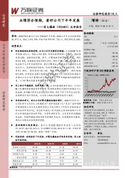 点评报告：业绩符合预期，看好公司下半年发展