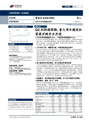 2020年半年度报告点评：Q2利润超预期，重大项目建设和资源并购齐头并进