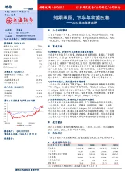 2020年半年报点评：短期承压，下半年有望改善