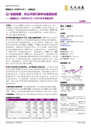 2020年半年报点评：Q2业绩回暖，非公开发行获中化集团批复