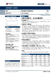 2020年中报点评：业绩平稳增长，龙头底蕴深厚