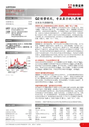 Q2经营优化，专业显示收入高增