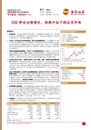 CIS带动业绩增长,持续开拓下游应用市场