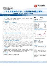 2020年半年报点评：上半年业绩略微下滑，连接器板块稳定增长