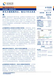 锂电业绩短期承压,偏光片促未来发展
