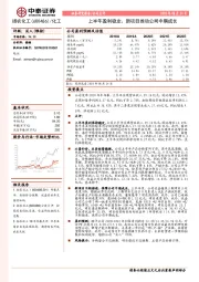 上半年盈利稳定、新项目推动公司中期成长