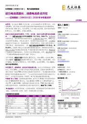 2020年半年报点评:动力电池高增长,消费电池多点开花