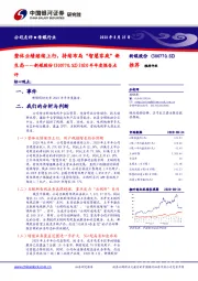 2020半年度报告点评:整体业绩继续上行,持续布局“智慧家庭”新生态