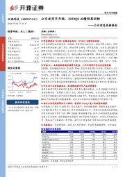 公司信息更新报告：公司发布半年报，2020Q2业绩明显好转