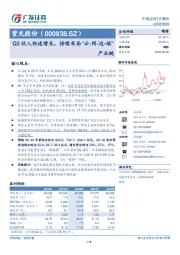 Q2收入快速增长，持续布局“云-网-边-端”产业链