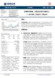 中报点评：业绩符合预期，正极龙头迎中长期向上