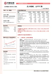 2020中报点评:龙头稳健,全年可期